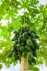 Similar image 6449924