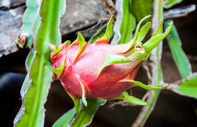 Similar image 6449932