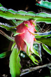 Similar image 6449934