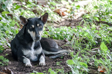 Similar image 6449939