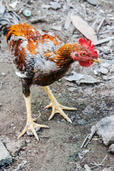 Similar image 6449944