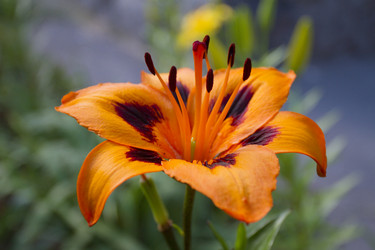 Similar image 6449945