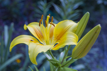 Similar image 6449956