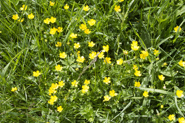 Similar image 6449960