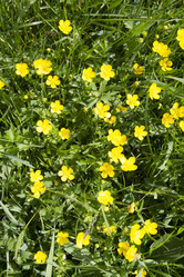 Similar image 6449961