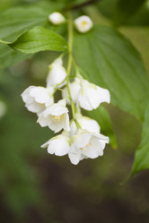 Similar image 6449967