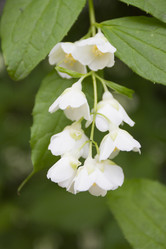 Similar image 6449968