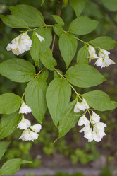 Similar image 6449972