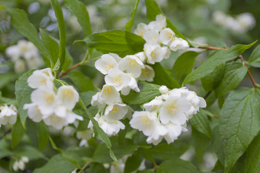 Similar image 6449974