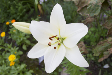 Similar image 6449989