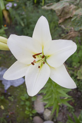 Similar image 6449990