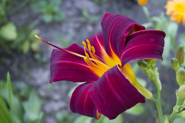 Similar image 6449994