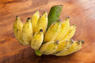 Similar image 6450028