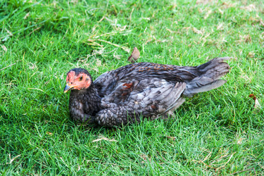 Similar image 6450029