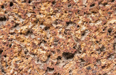 Similar image 6450039