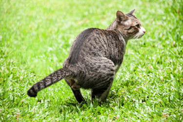 Similar image 6450044