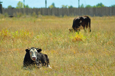 Similar image 6450248