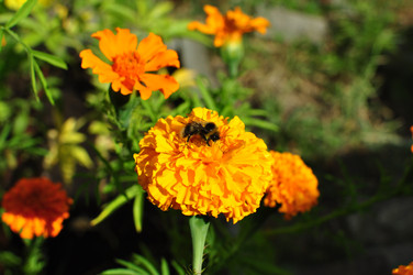 Similar image 6450253