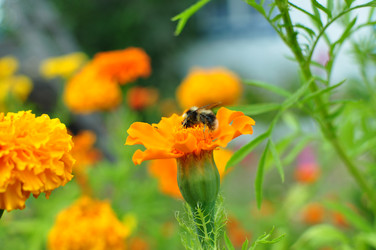 Similar image 6450254