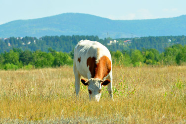 Similar image 6450257