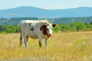 Similar image 6450258