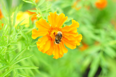 Similar image 6450263