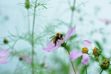 Similar image 6450264