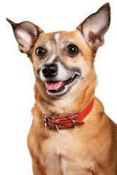 Similar image 6450268