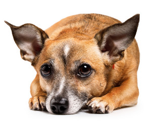 Similar image 6450269