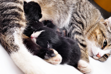 Similar image 6450273