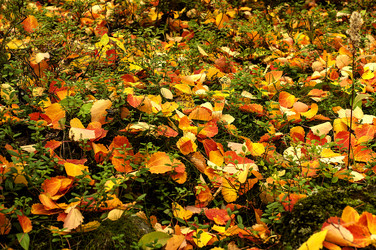 Similar image 6450279