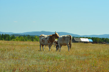 Similar image 6450283