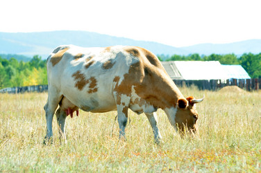 Similar image 6450284