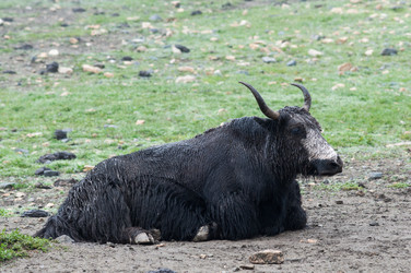 Similar image 6450287