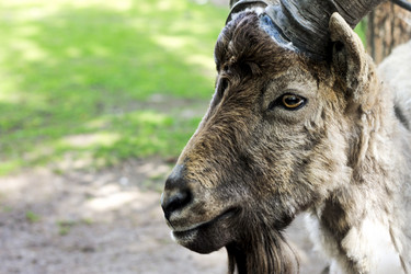 Similar image 6450299