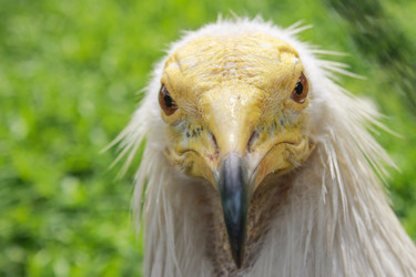 Similar image 6450301