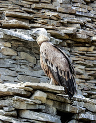 Similar image 6450302