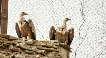 Similar image 6450303