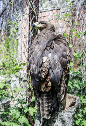 Similar image 6450304