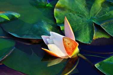 Similar image 6453656