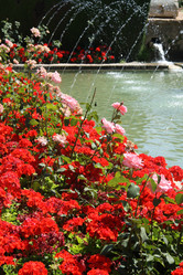 Similar image 6453671