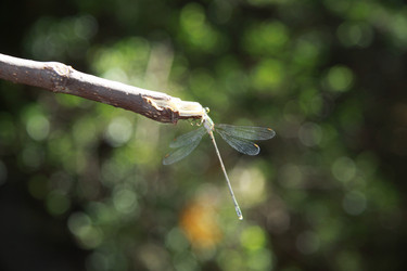 Similar image 6453682