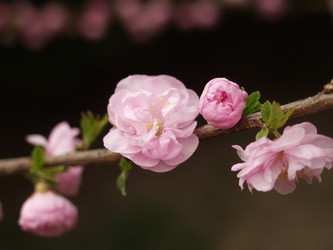 Similar image 6453715