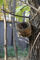 Similar image 6453728