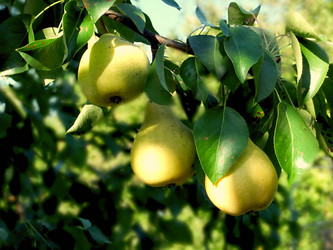 Similar image 6454911