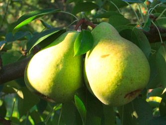 Similar image 6454918