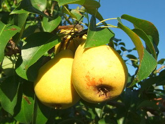 Similar image 6455032