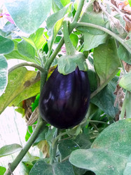 Similar image 6455055