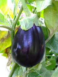 Similar image 6455063