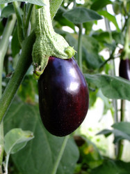 Similar image 6455068